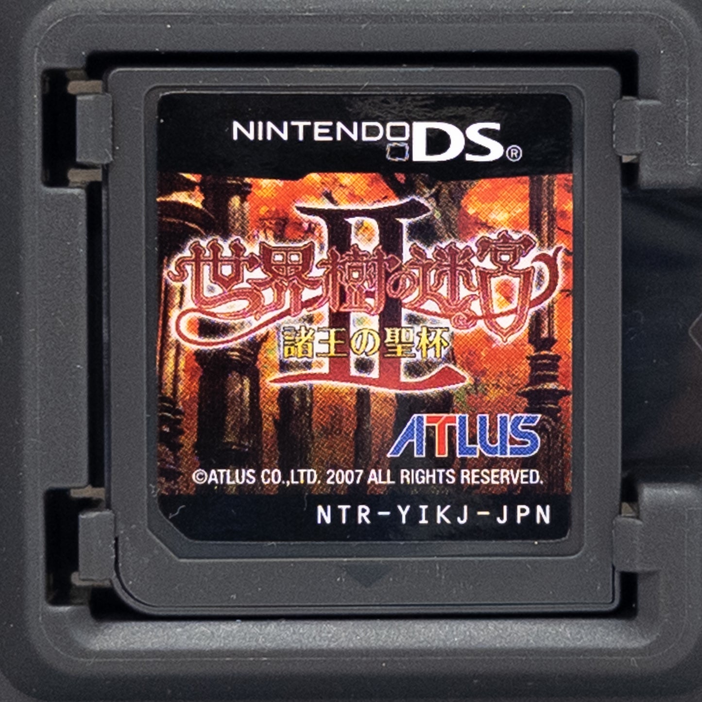 Sekaiju no Meikyuu 2: Shoou no Seihai (Nintendo DS, 2008) JP